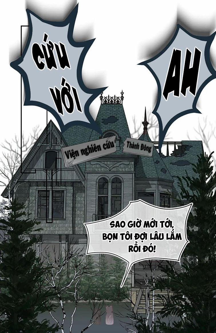 Một Ngụm Nuốt Trọn Thỏ Con 62 trang 9