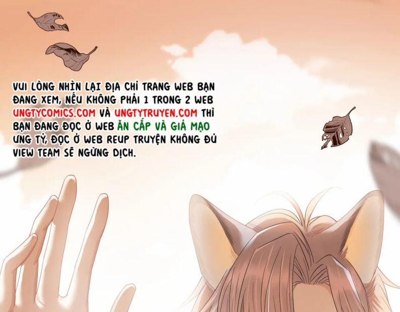 Một Ngụm Nuốt Trọn Thỏ Con 63 trang 50