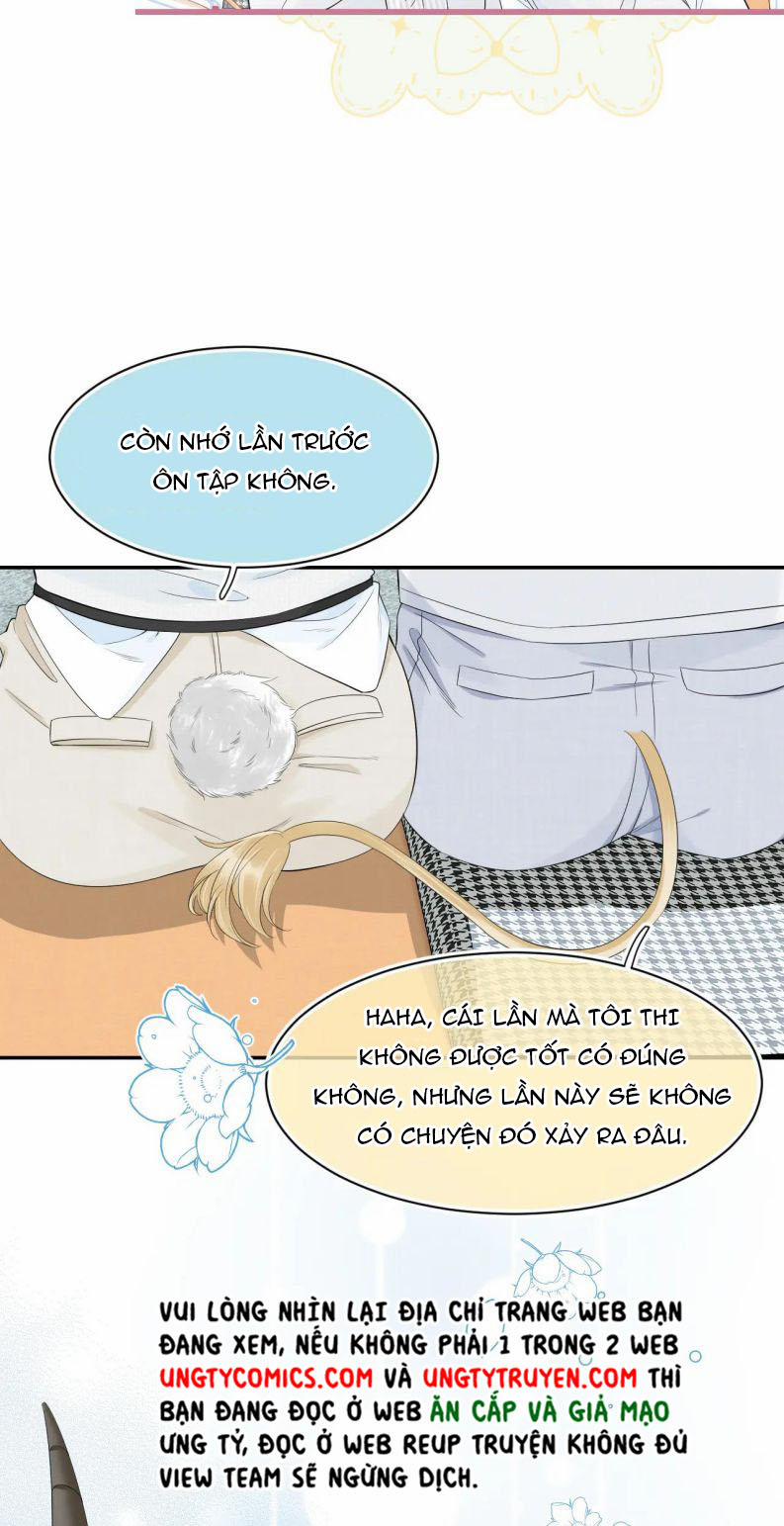 Một Ngụm Nuốt Trọn Thỏ Con 64 trang 6