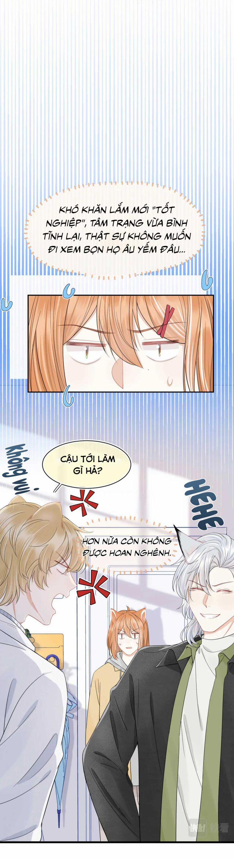 Một Ngụm Nuốt Trọn Thỏ Con 65 trang 4