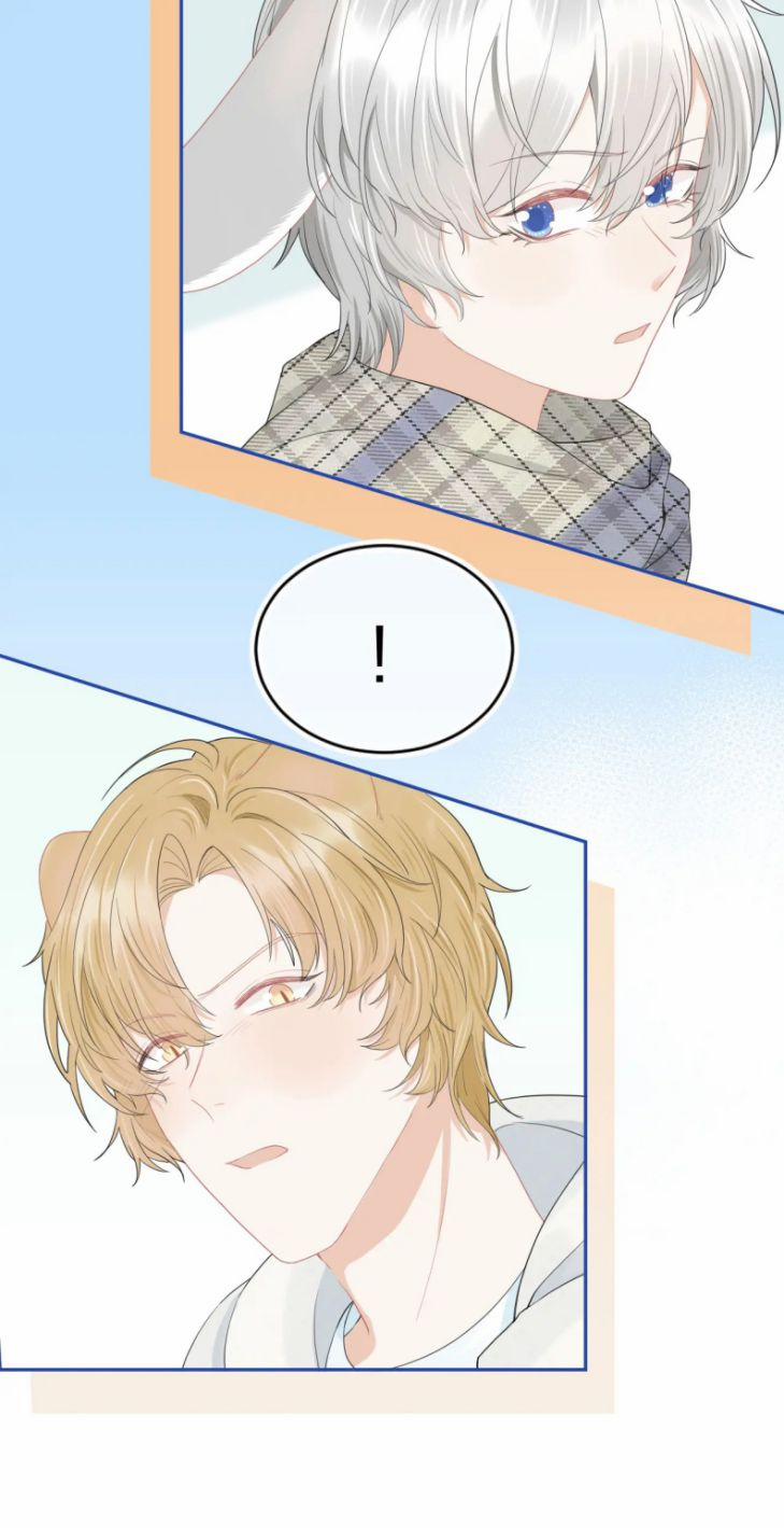 Một Ngụm Nuốt Trọn Thỏ Con 66 trang 16