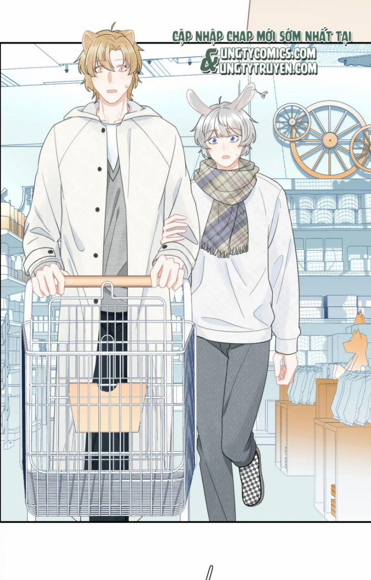 Một Ngụm Nuốt Trọn Thỏ Con 66 trang 6