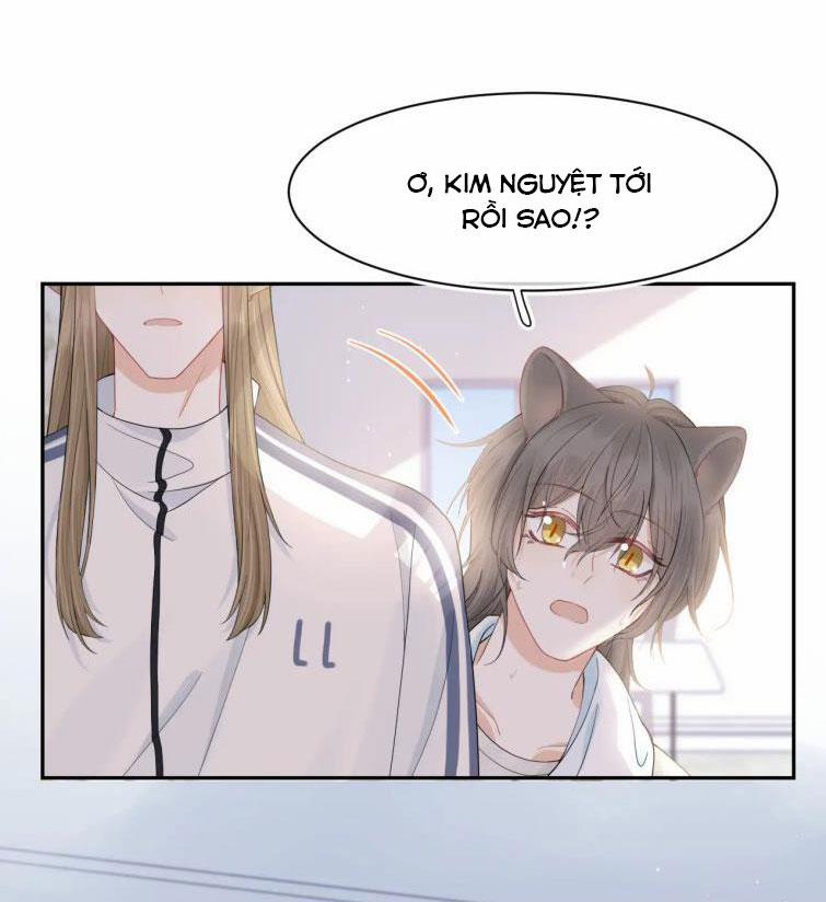 Một Ngụm Nuốt Trọn Thỏ Con 67 trang 14