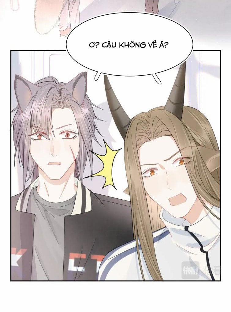 Một Ngụm Nuốt Trọn Thỏ Con 67 trang 16