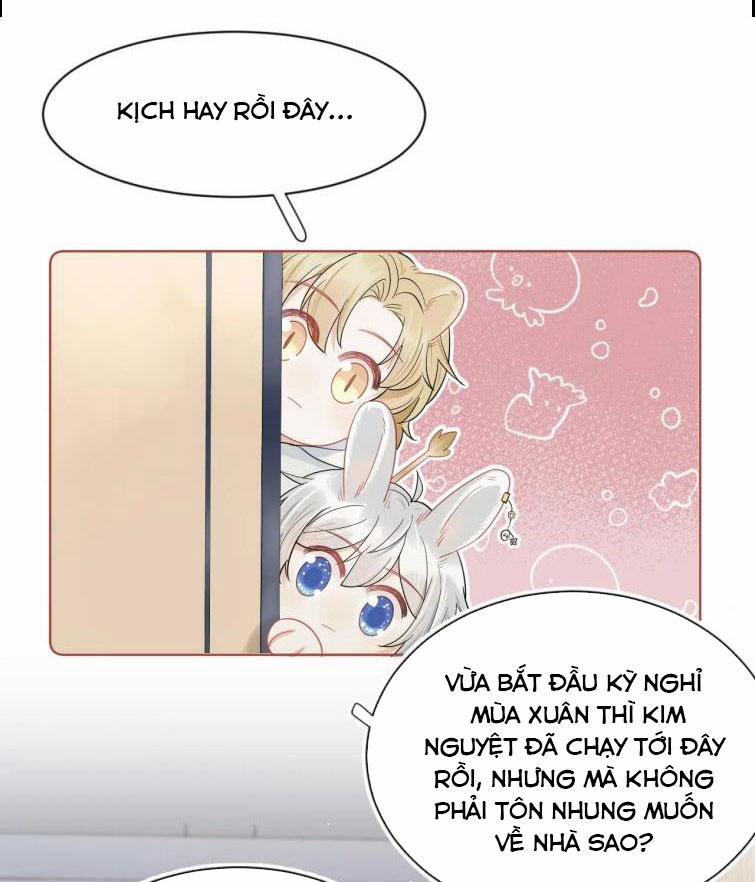 Một Ngụm Nuốt Trọn Thỏ Con 67 trang 2