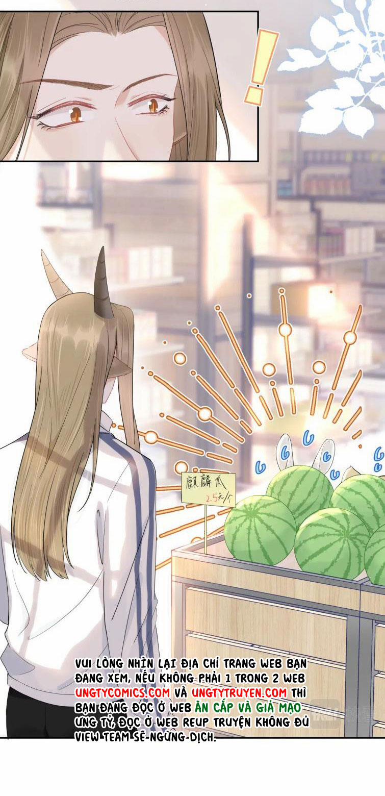 Một Ngụm Nuốt Trọn Thỏ Con 67 trang 24