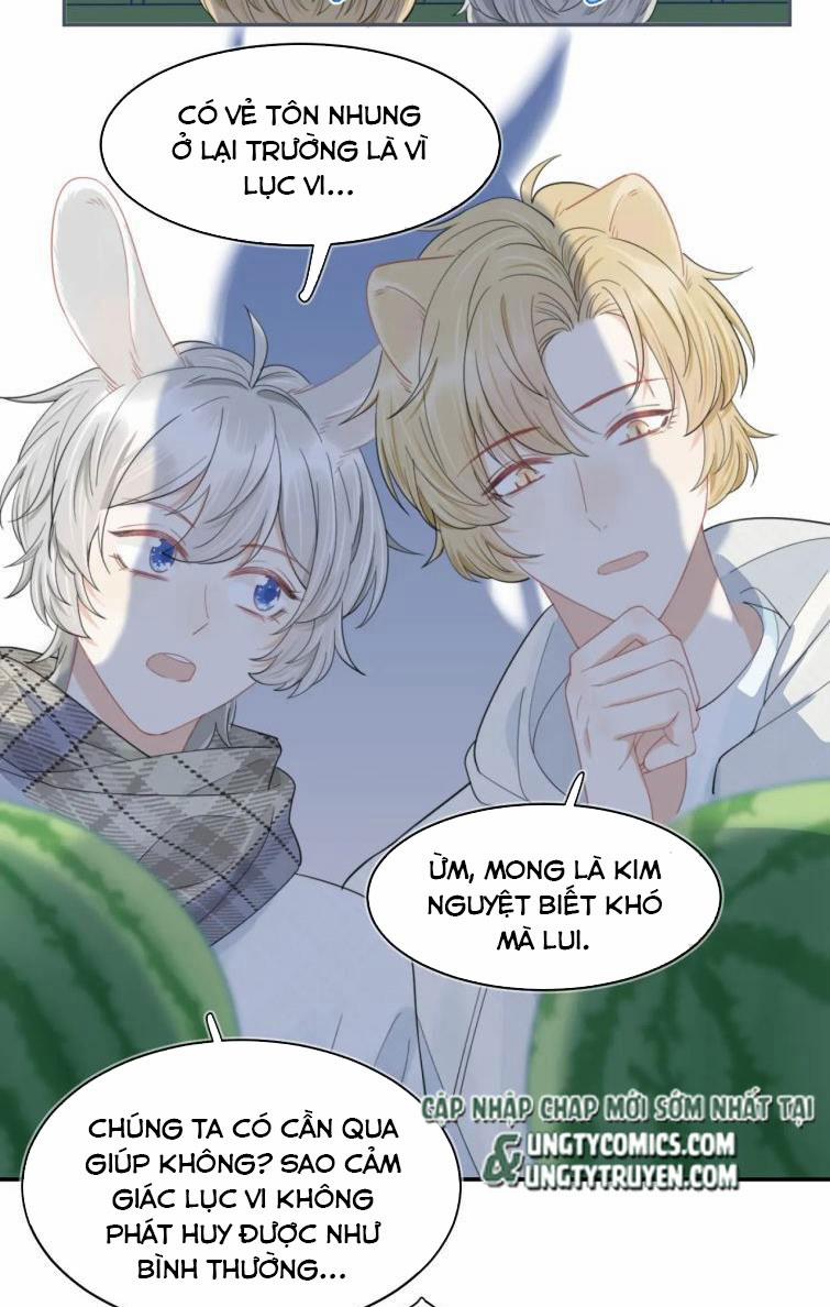 Một Ngụm Nuốt Trọn Thỏ Con 67 trang 26