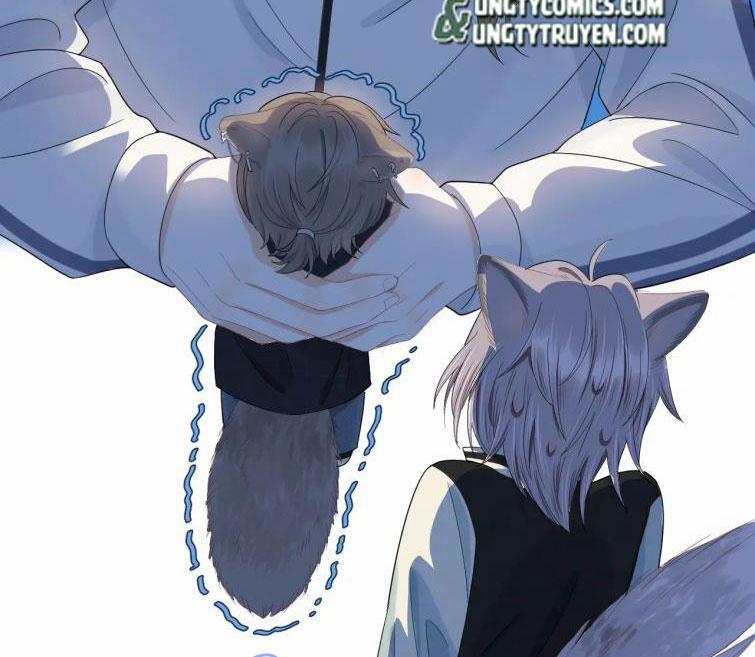 Một Ngụm Nuốt Trọn Thỏ Con 67 trang 39