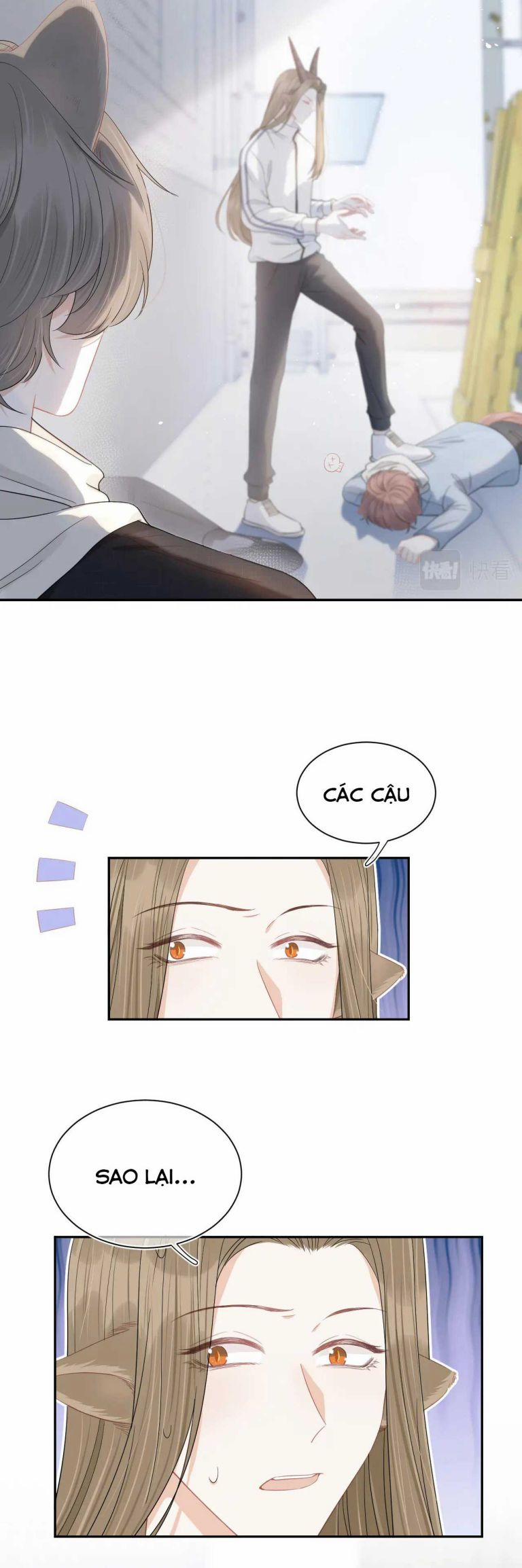 Một Ngụm Nuốt Trọn Thỏ Con 68 trang 22