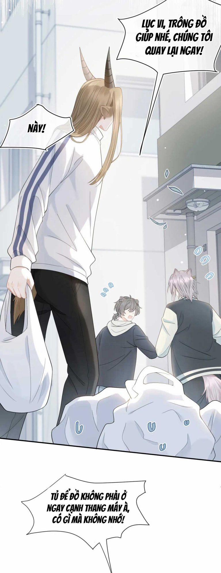 Một Ngụm Nuốt Trọn Thỏ Con 68 trang 4