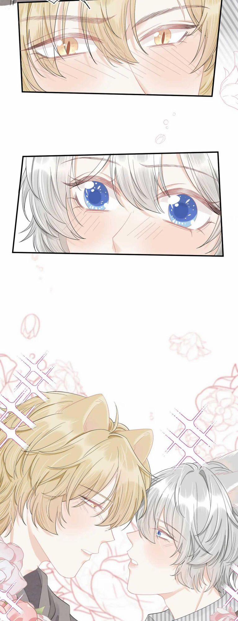 Một Ngụm Nuốt Trọn Thỏ Con 69 trang 16