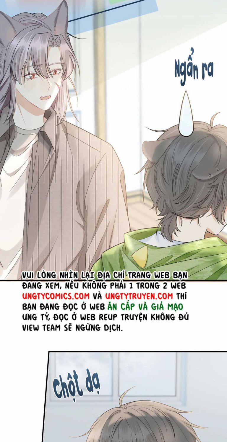 Một Ngụm Nuốt Trọn Thỏ Con 70 trang 7