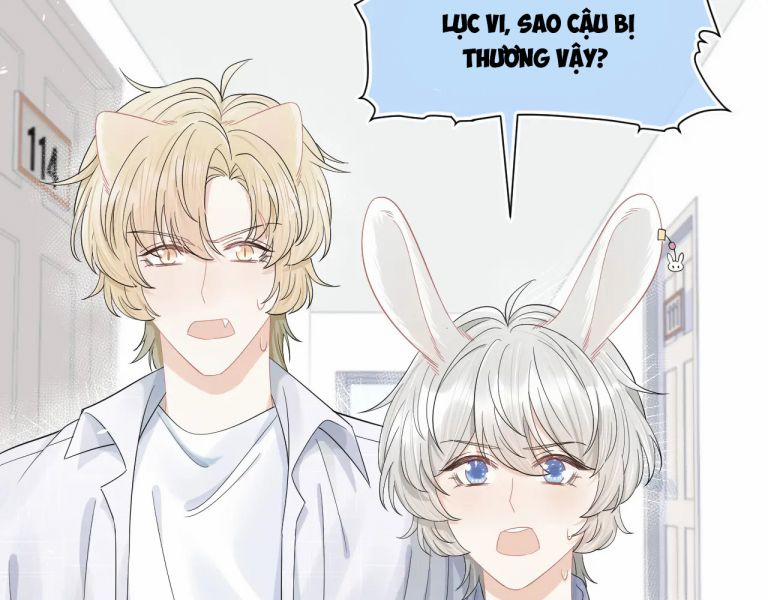 Một Ngụm Nuốt Trọn Thỏ Con 72 trang 15