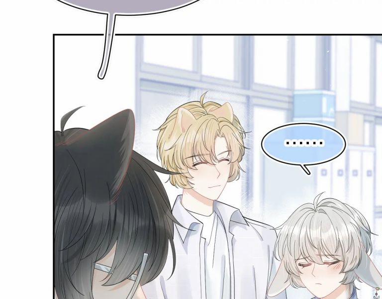 Một Ngụm Nuốt Trọn Thỏ Con 72 trang 5