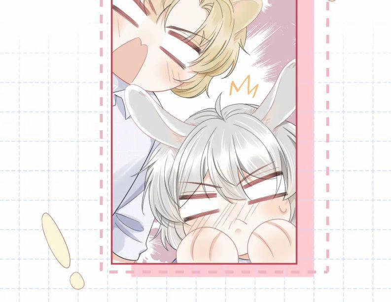 Một Ngụm Nuốt Trọn Thỏ Con 74 trang 34