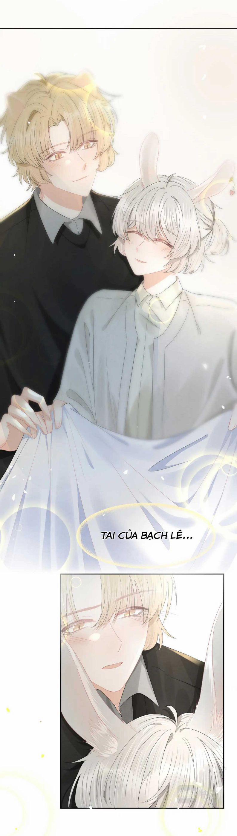 Một Ngụm Nuốt Trọn Thỏ Con 77 trang 2