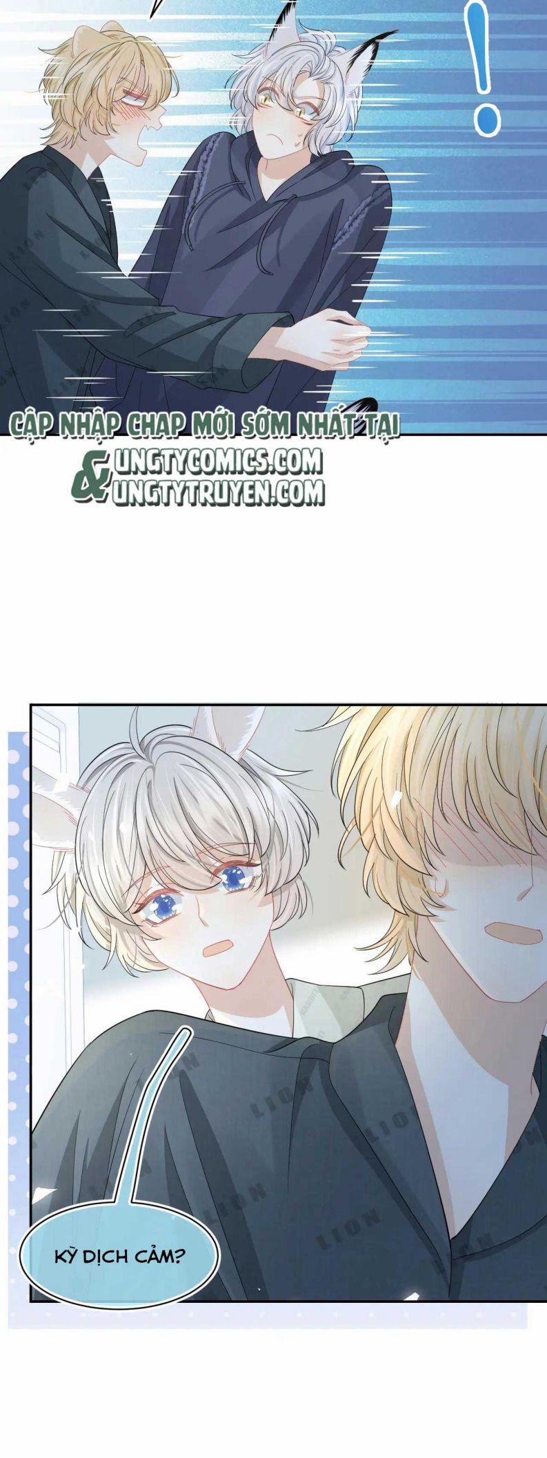 Một Ngụm Nuốt Trọn Thỏ Con 77 trang 25