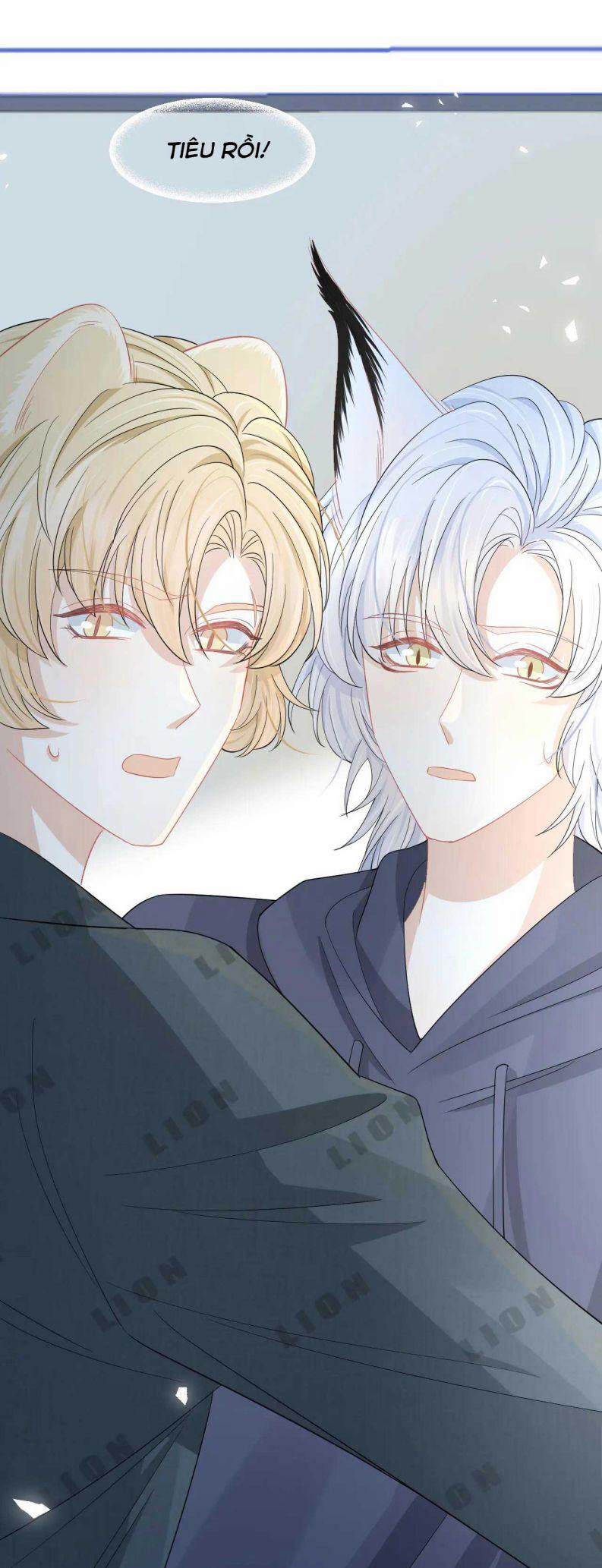 Một Ngụm Nuốt Trọn Thỏ Con 77 trang 26