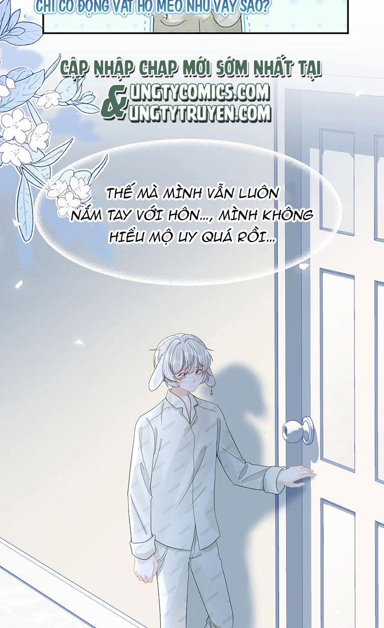 Một Ngụm Nuốt Trọn Thỏ Con 78 trang 21