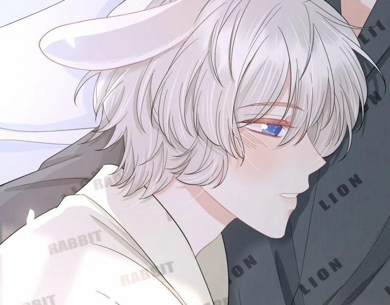 Một Ngụm Nuốt Trọn Thỏ Con 80 trang 8