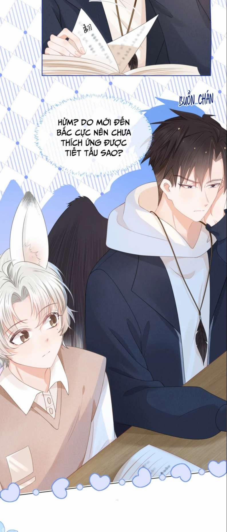 Một Ngụm Nuốt Trọn Thỏ Con 93 trang 19