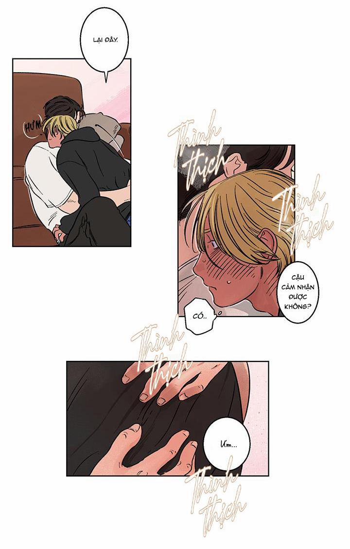 Một Tuần Dục Vọng – Truyện Ngắn Omegaver 2.2 trang 33