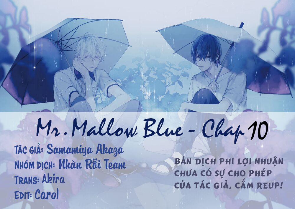 Mr. Blue 10 trang 0