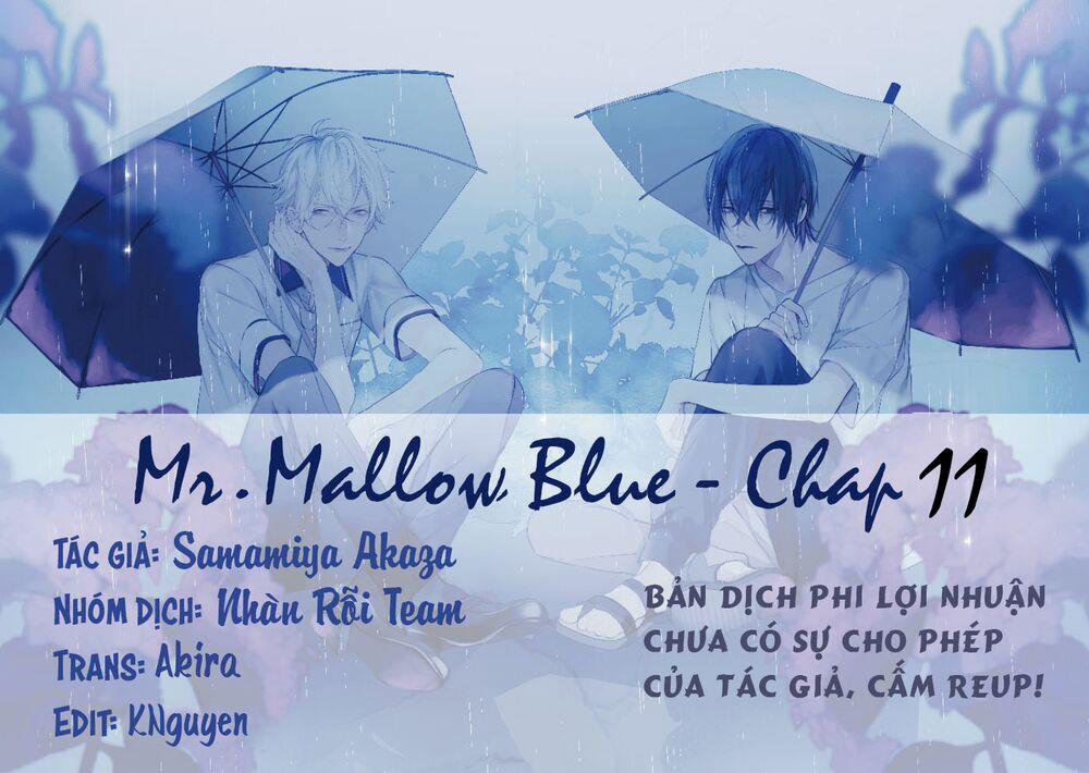 Mr. Blue 11 trang 0