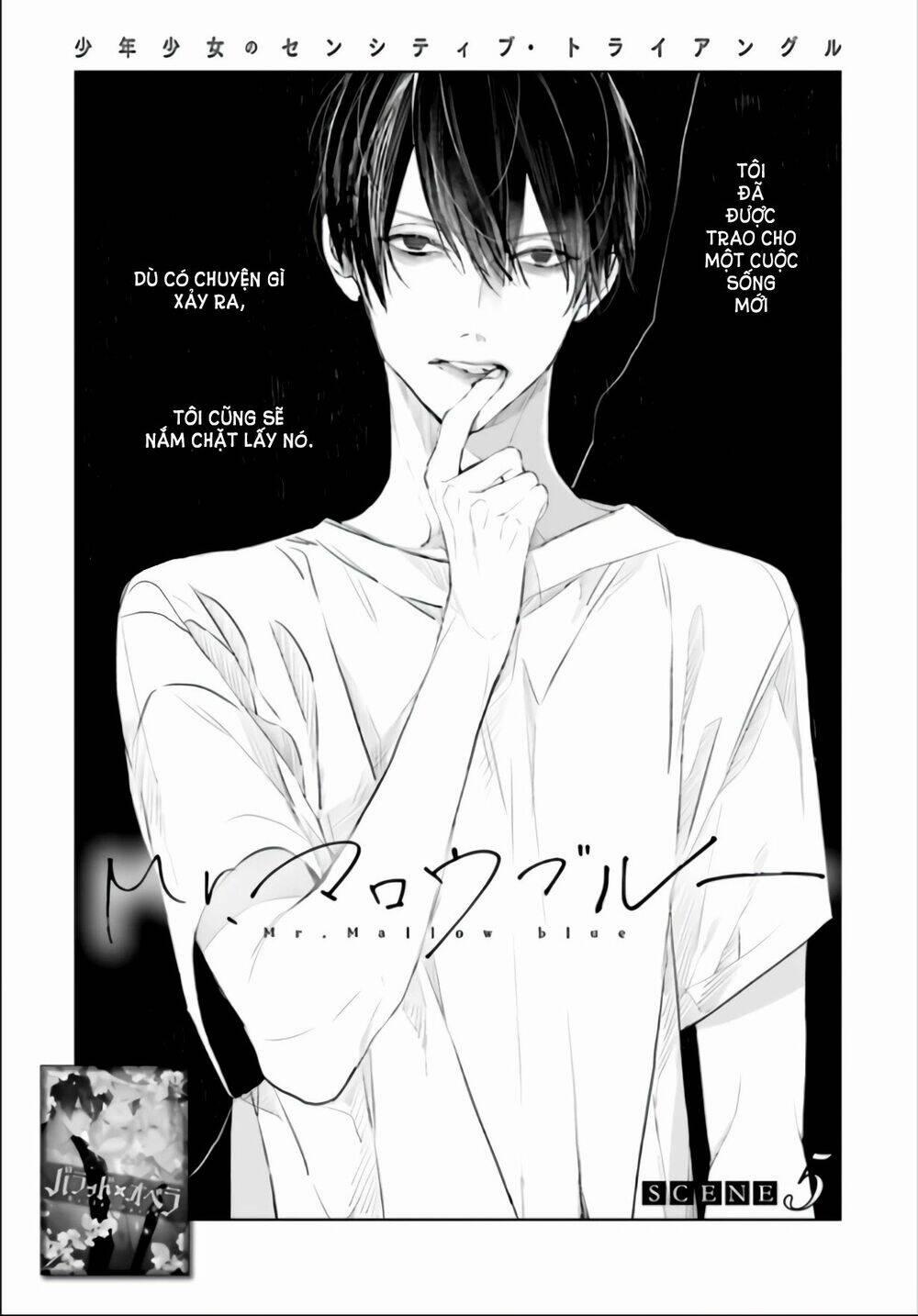 Mr. Blue 5 trang 1