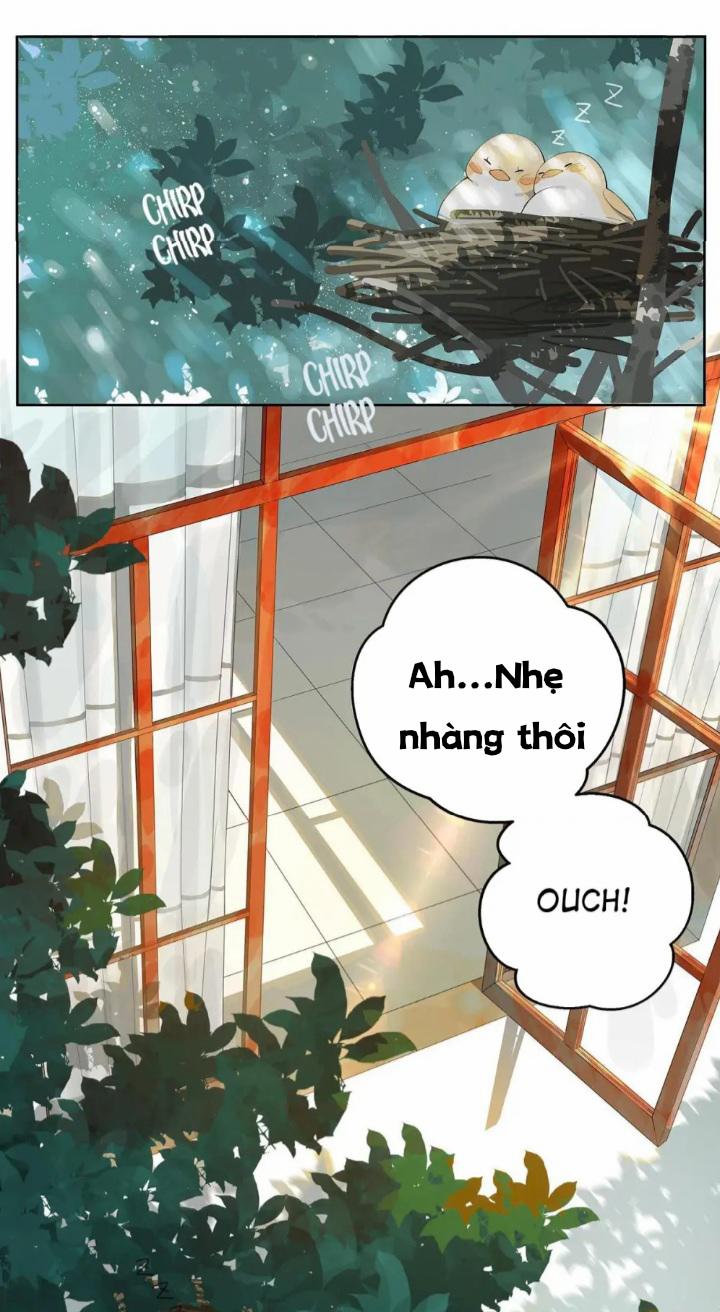 Mr.snail 2 trang 1