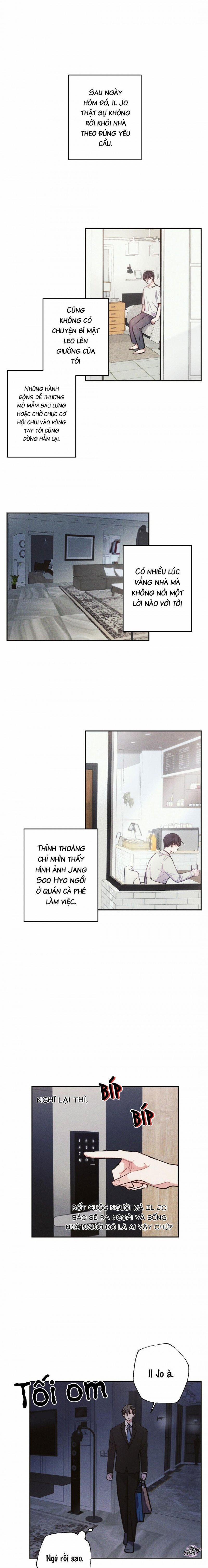 Mưa Bão 41 trang 0