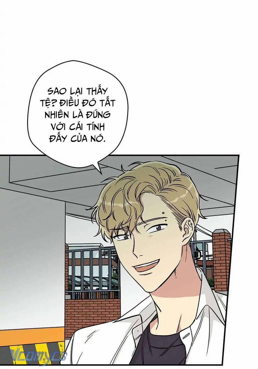 Mùa Xuân Của Espresso 13 trang 8