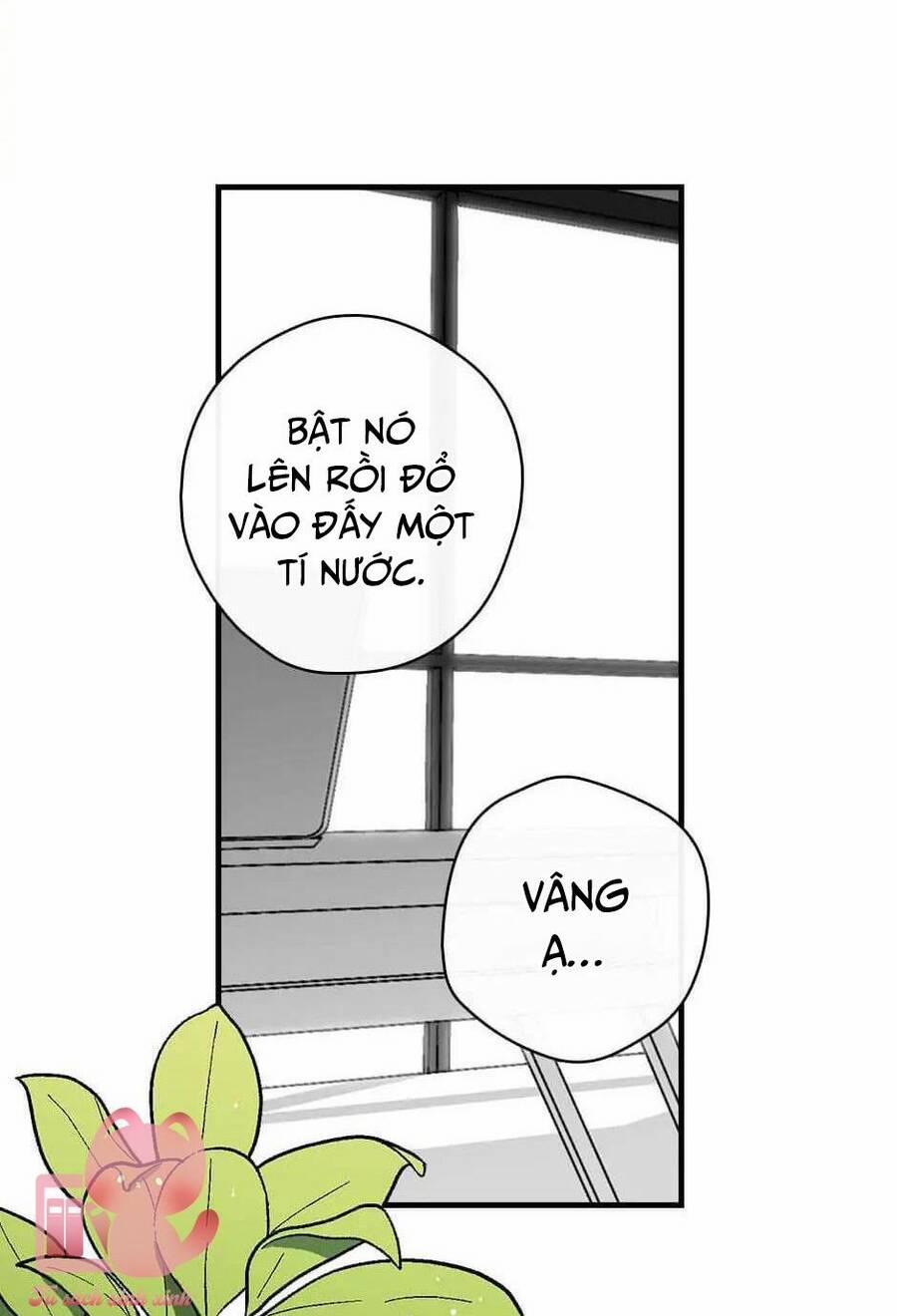 Mùa Xuân Của Espresso 15 trang 27