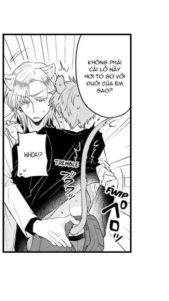 Muốn Ăn Sạch Cậu 20.2 trang 11