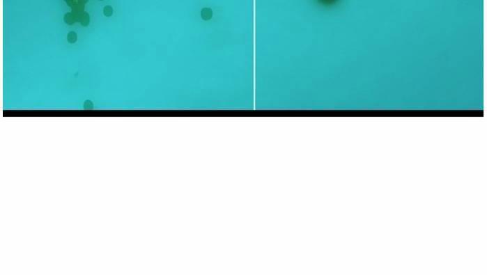 Murim Thời Hiện Đại 51 trang 13