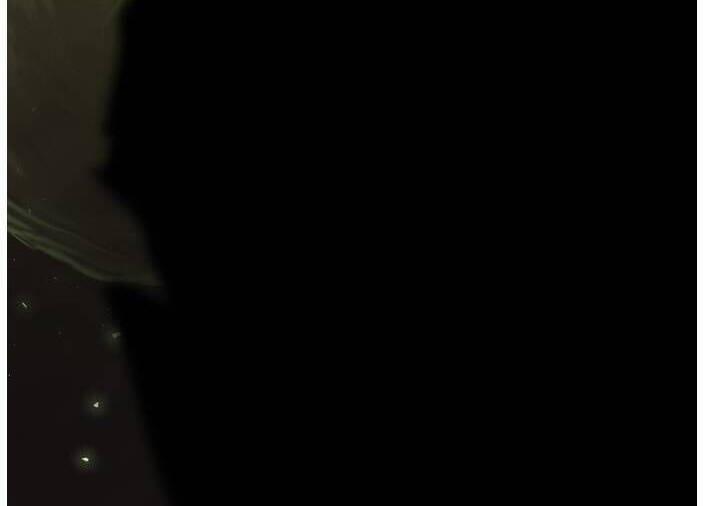 Murim Thời Hiện Đại 64 trang 68