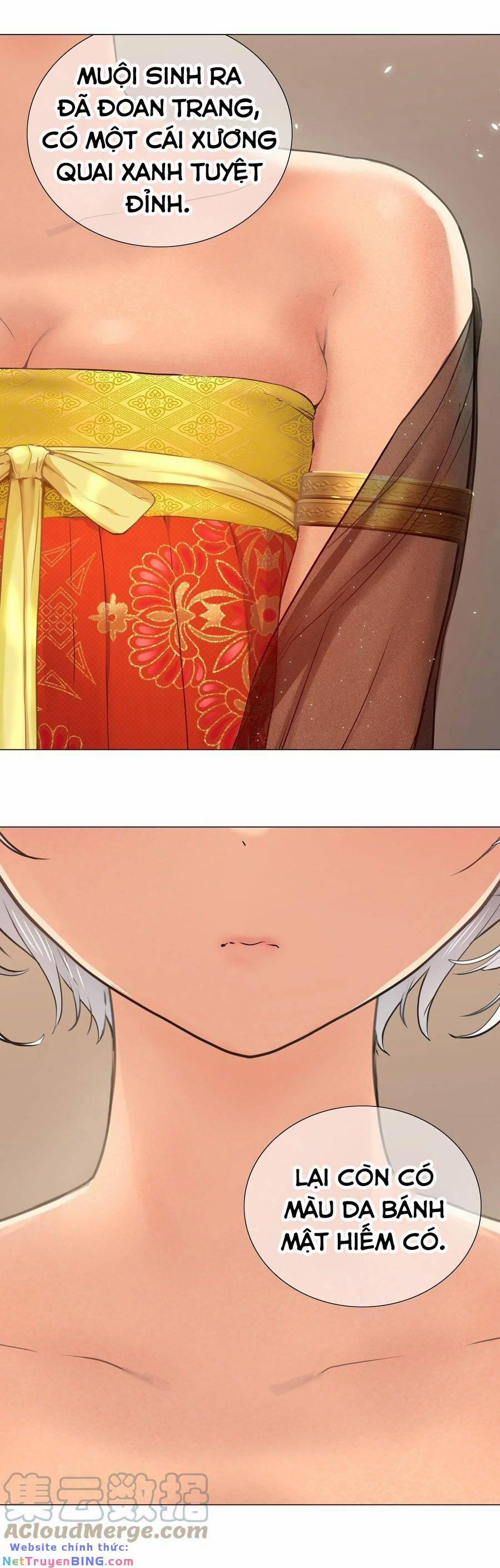 My Harem Grew So Large, I Was Forced To Ascend 66 trang 52