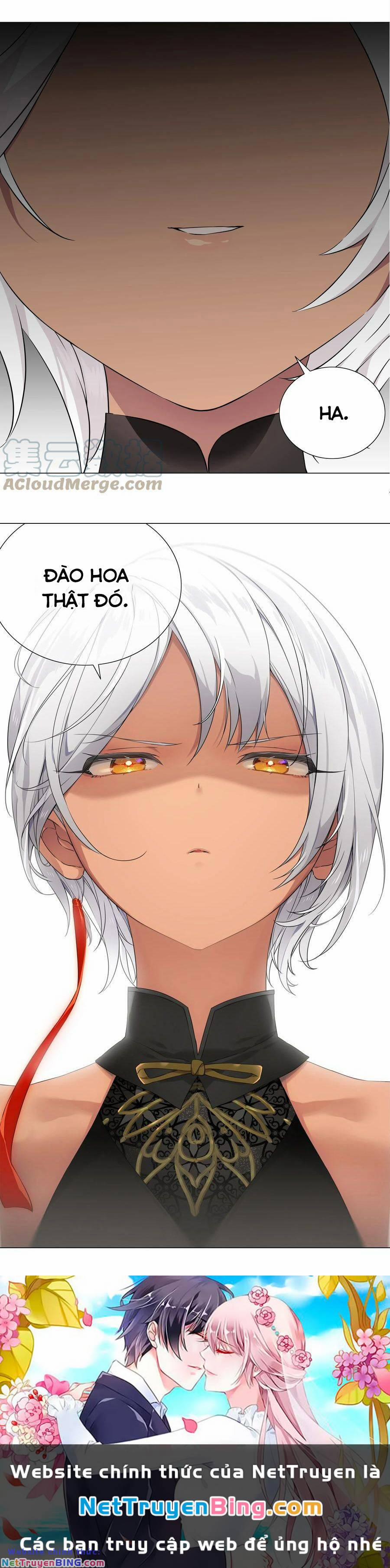 My Harem Grew So Large, I Was Forced To Ascend 66 trang 88