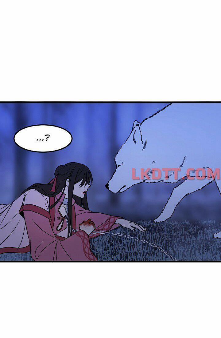 Mylord, Nữ Hoàng Của Loài Sói! 3 trang 1