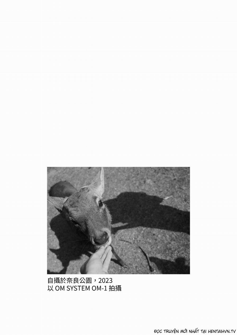 しかのこしこしこうでぱんぱん - nai chơi nấm Oneshot trang 16