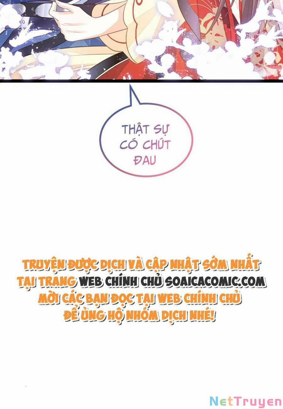 Nam Sủng Ta Nuôi Lại Cắn Ta 13 trang 28