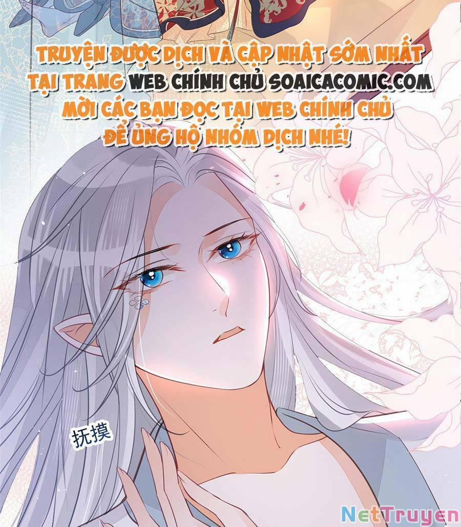 Nam Sủng Ta Nuôi Lại Cắn Ta 2 trang 11
