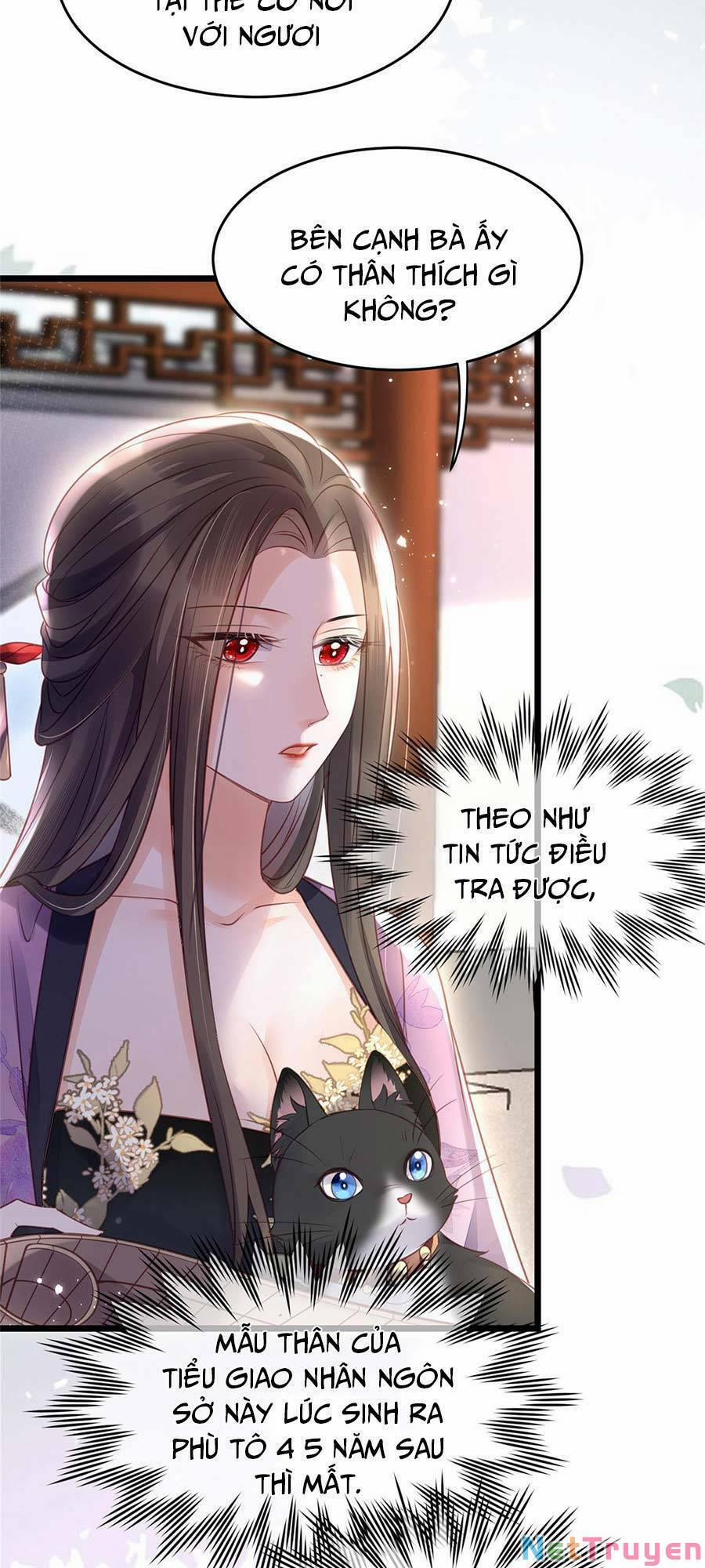 Nam Sủng Ta Nuôi Lại Cắn Ta 4 trang 12