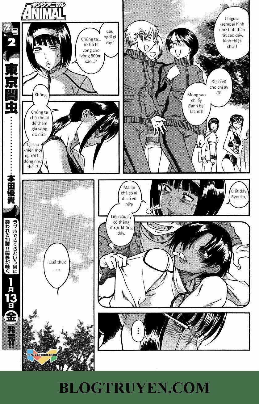 Nana To Kaoru 66 trang 3