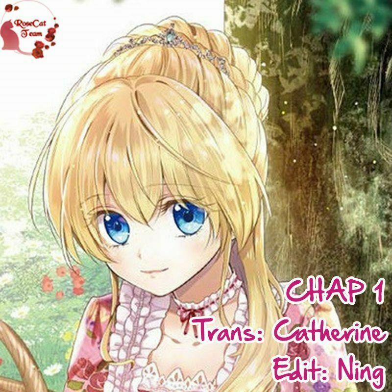 Nàng Lọ Lem Giả Mạo 1 trang 1