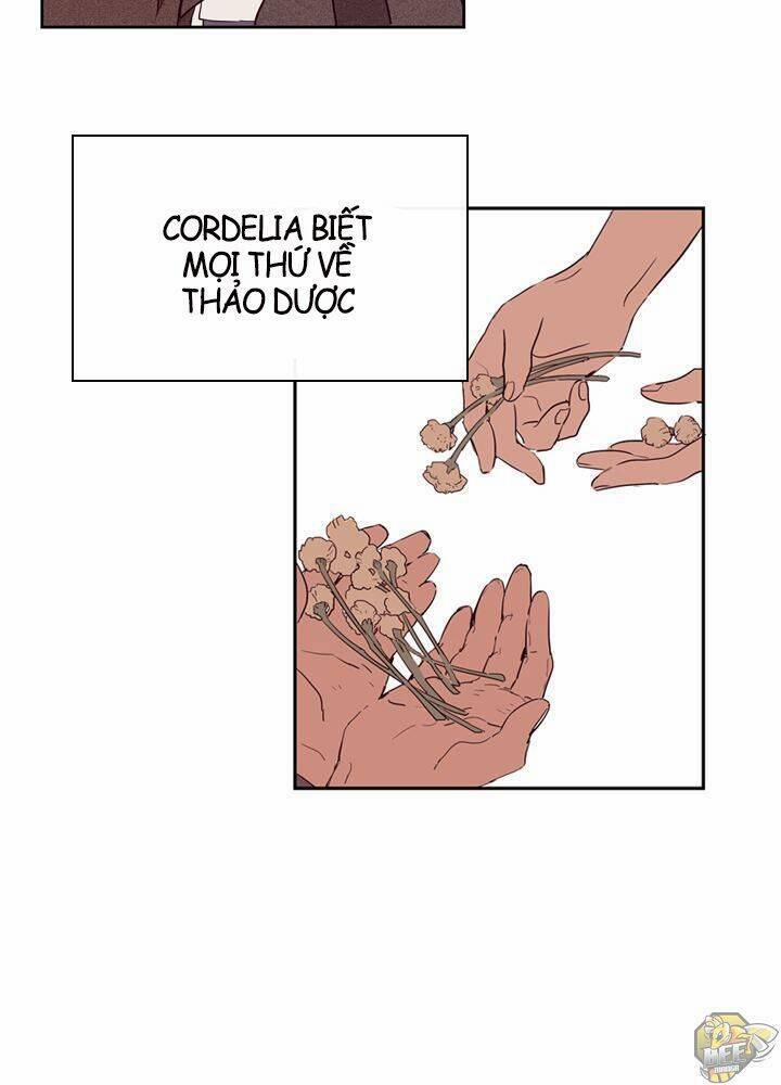 Nàng Phù Thủy Của Tôi 1 trang 5