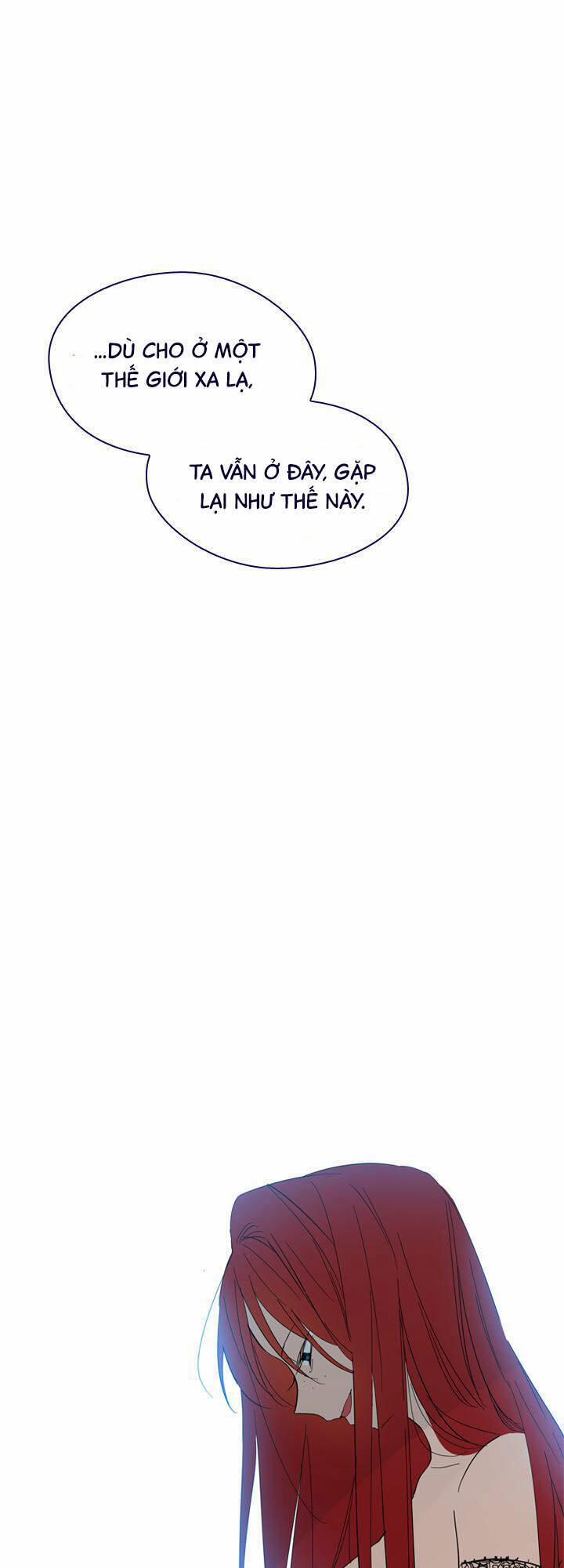 Nàng Phù Thủy Của Tôi 11 trang 24