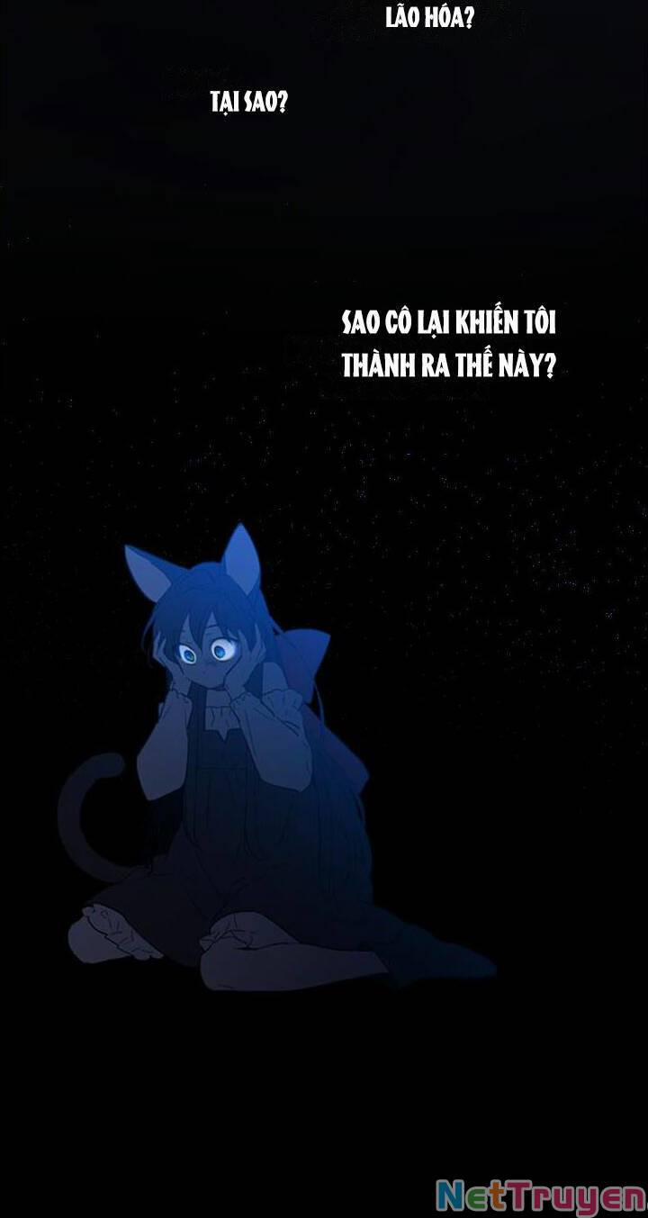 Nàng Phù Thủy Của Tôi 38.1 trang 19