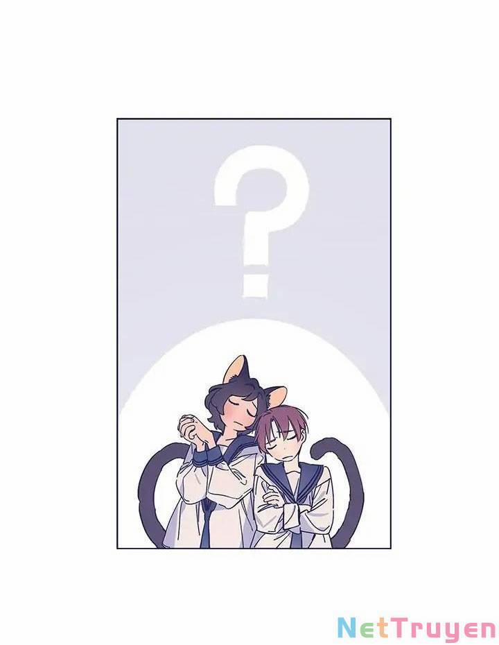 Nàng Phù Thủy Của Tôi 62.1 trang 12