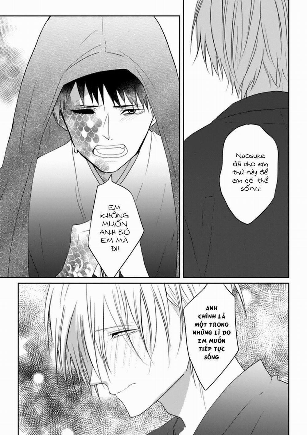 Nàng Tiên Cá Thân Yêu Nhất Của Tôi 6 trang 22